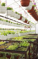 nursery