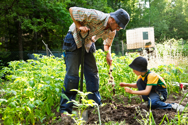 Father and son gardening